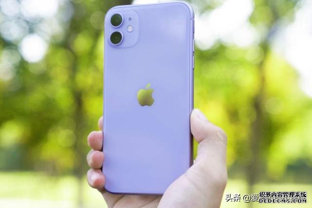 iPhone 11系列价格再跳水，跌至“荣耀价”是什么原因？