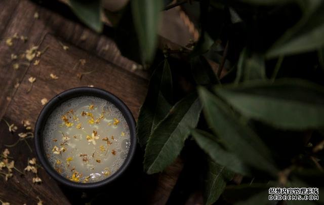 就是它了！夏日消暑必备——桂花酒