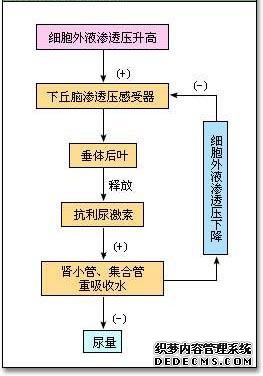 健身过程中没状态？可能不是没休息好，而是你没有及时补充水