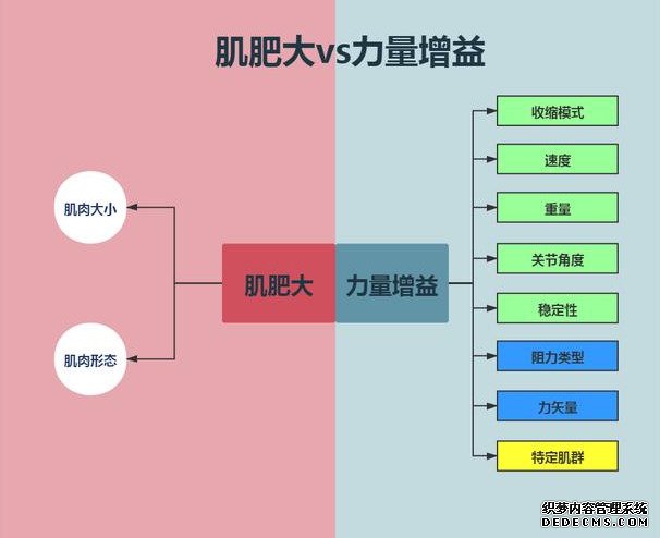 当你开始健身，身体会发生哪些变化？肌肉形态和力量增长分析