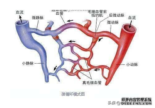 大健康时代打造多元化健康管理新模式