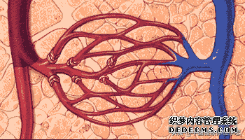 大健康时代打造多元化健康管理新模式