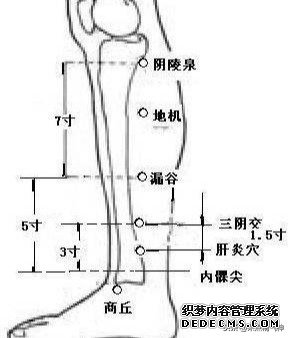 肝脏就是“油烟机”！油污太多导致脂肪肝，穴位“揉”回去