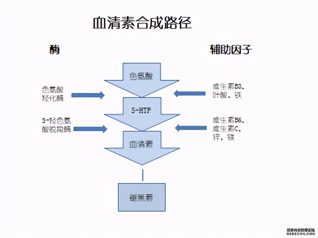 抑郁症与焦虑症（四）：补充色氨酸，5HTP的作用