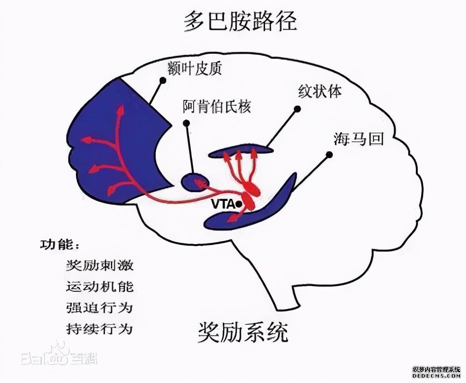 吃货的困扰：“为啥我明明不饿却总想吃东西？”